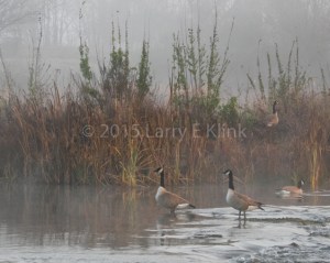 Figure 5: Image Taken Under Low, Diffuse Light