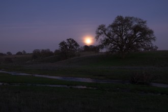 Original Raw Image of Foreground. Note that moon looks like a bright white blob.