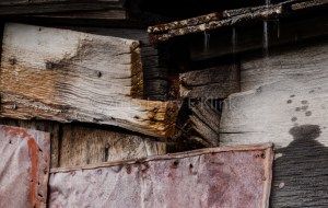 Aging & Rain: Rain falling on the decaying remains of the McDonald House, Bodie, CA.