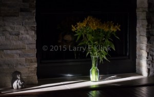 The setting sun cast a narrow beam of light that caught the fireplace in our family room, highlighting St. Francis looking upon the freesias.