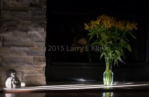 The setting sun cast a narrow beam of light that caught the fireplace in our family room, highlighting St. Francis looking upon the freesias.