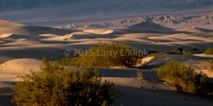  Shapes created by the light and dark areas provide a texture reminiscent of a cubist painting by Picasso. Mesquite Dunes, Death Valley, CA OCT 2015. 