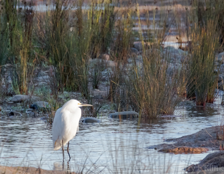 20160209-Wm-Pond-Park-030-Edit-WEB