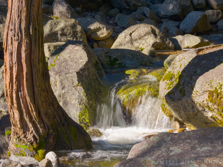 Rivulet on Yosemite Creek