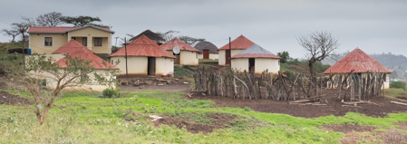 Homestead in Transition to Modernity