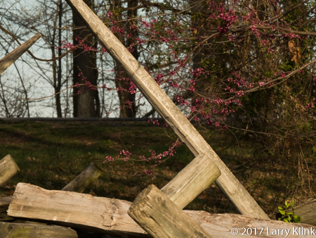 Image of a red tree blossom and small part of a rail fence, near Lee memorial, Gettysburg, PA APR 2017