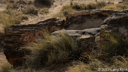 Petrified Log