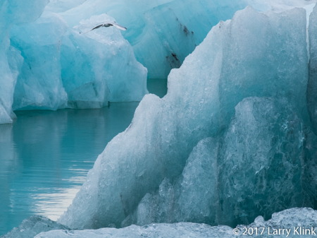 Icy Aviary - Perspective 3