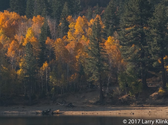 Lakeside on an Autumn Morning