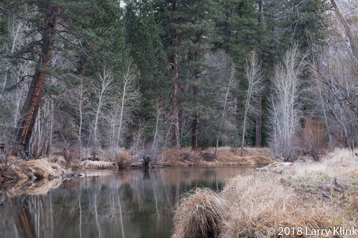 Merced River from Swinging Bridge Meadow, Yosemite National Park, CA; FEB 2018