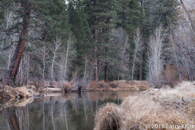 Merced River from Swinging Bridge Meadow, Yosemite National Park, CA; FEB 2018