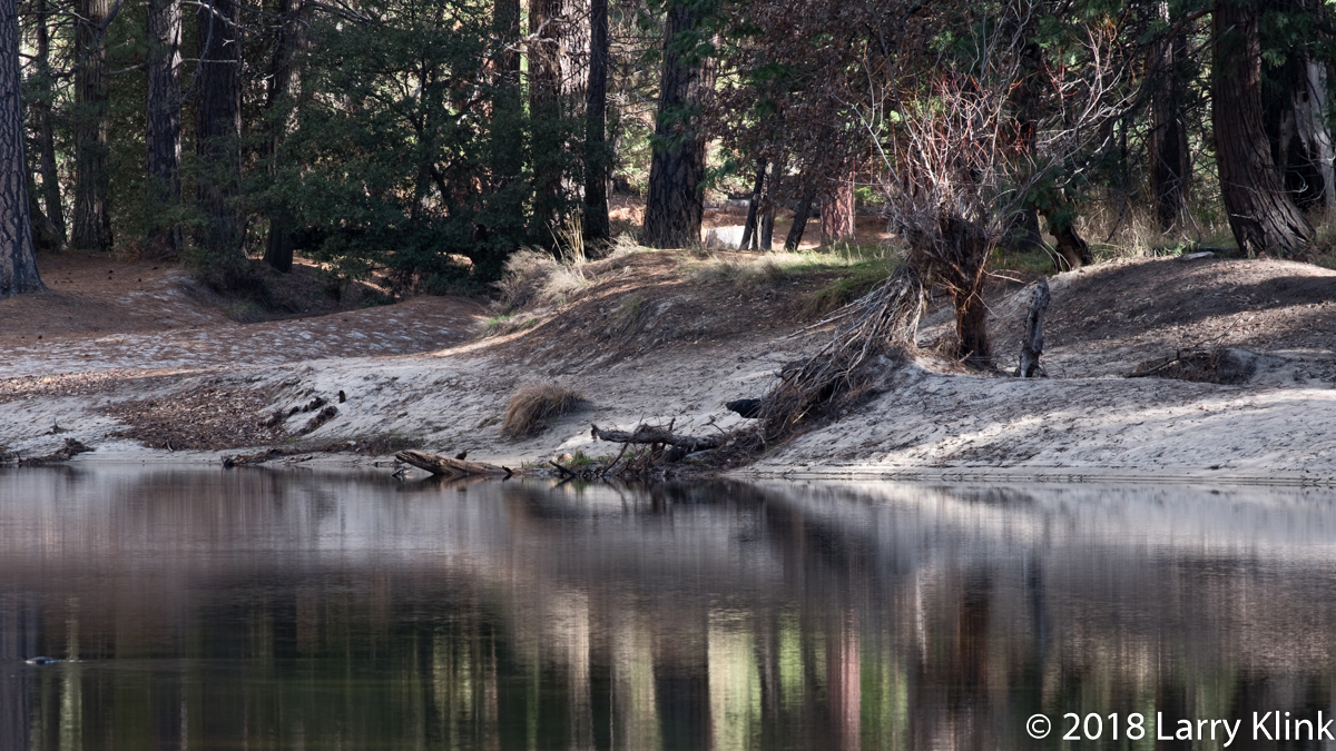 Along the Merced River Near El Capitan Bridge