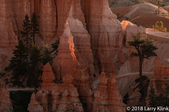 Bryce Canyon - P10