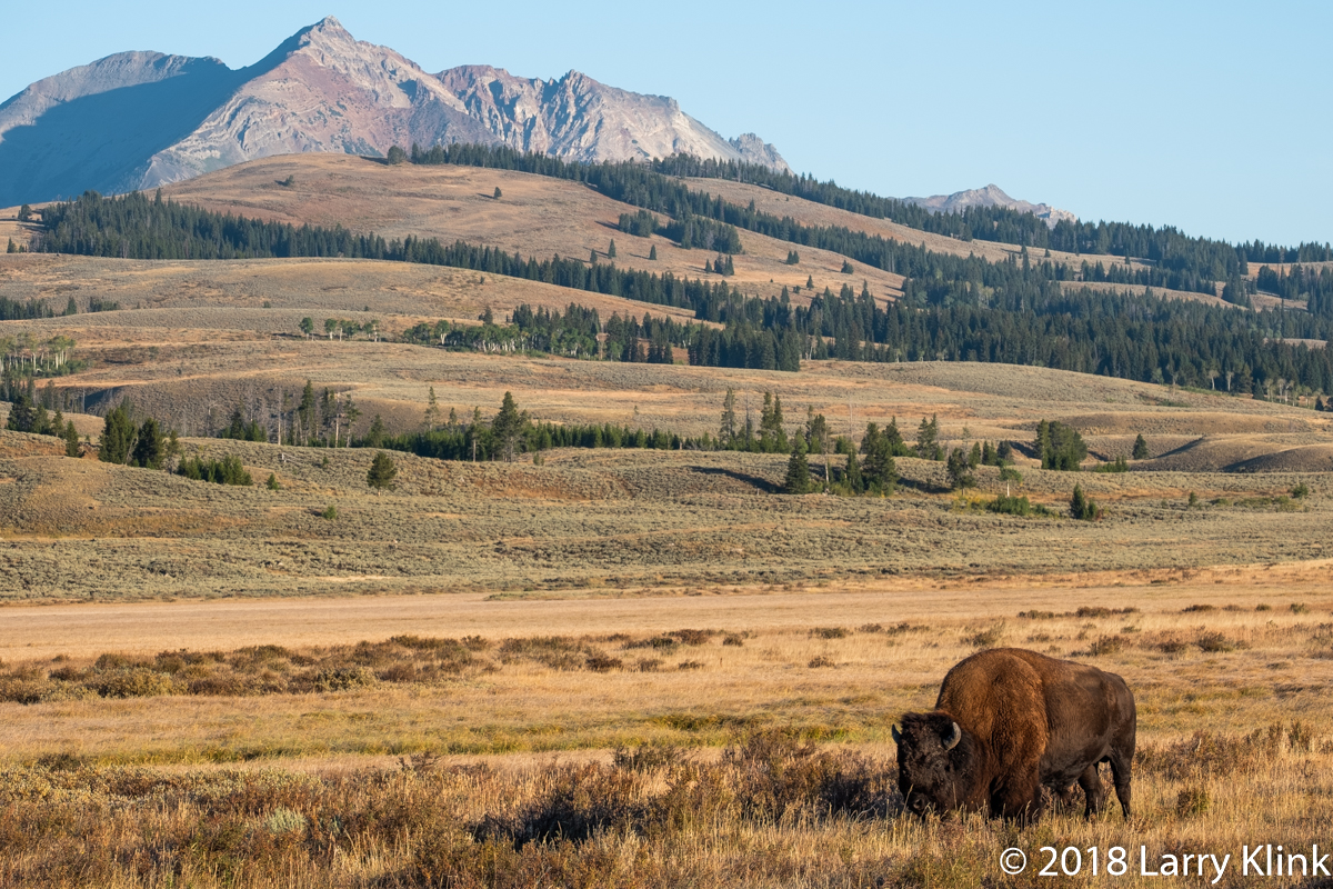 Scene from Swan Lake Flat
