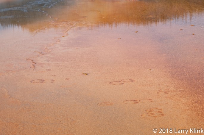 Grand Prismatic Spring, Yellowstone National Park; SEP 2018