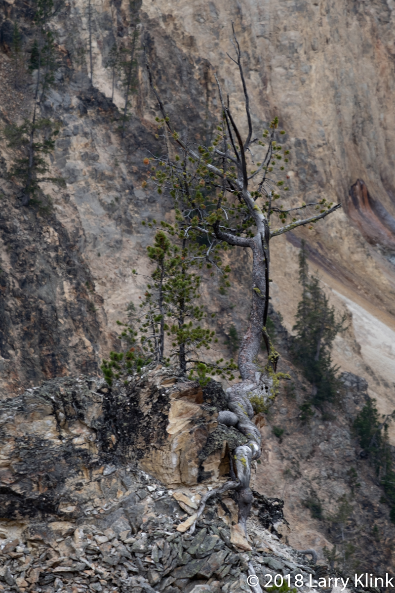 20180907-Yellowstone-066-On1Efx-Web