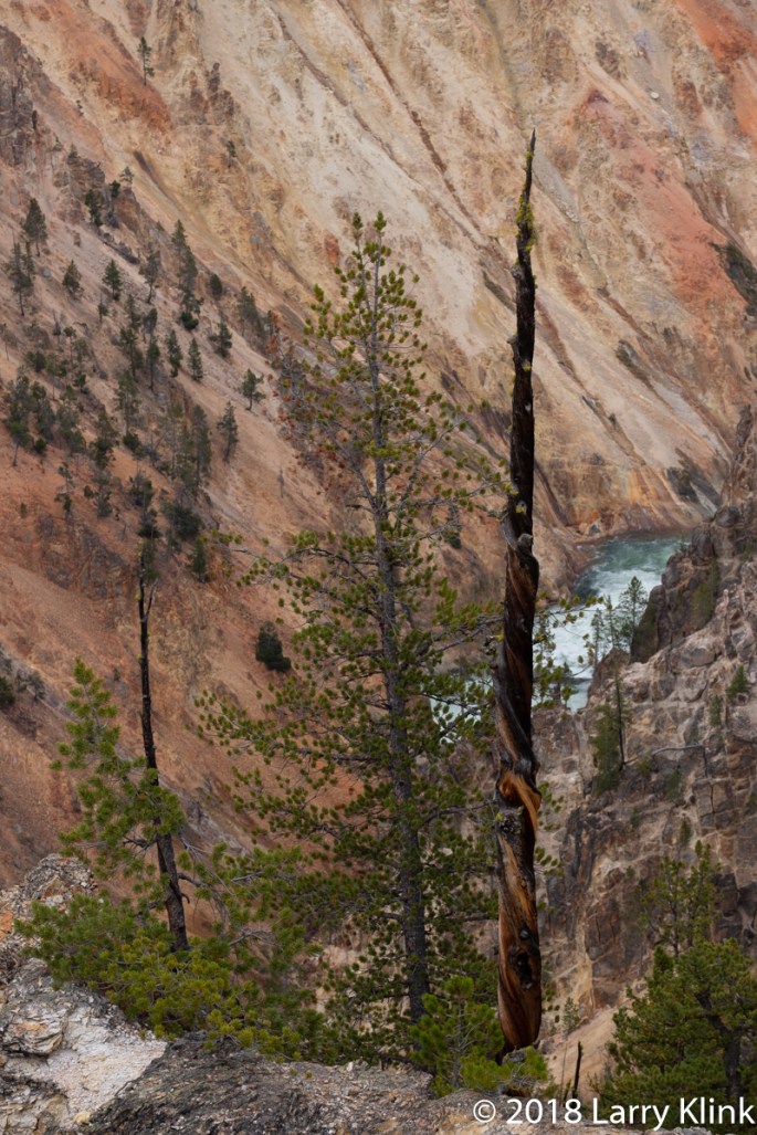 Grand Canyon of the Yellowstone, Yellowstone National Park; SEP 2018