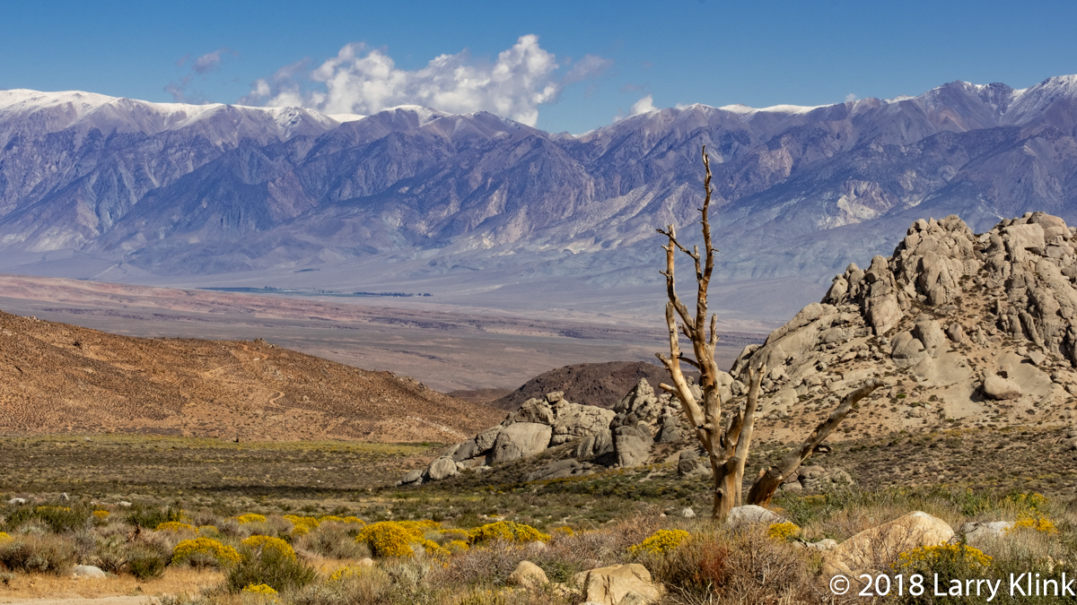 Owens Valley from Buttermilk Rd