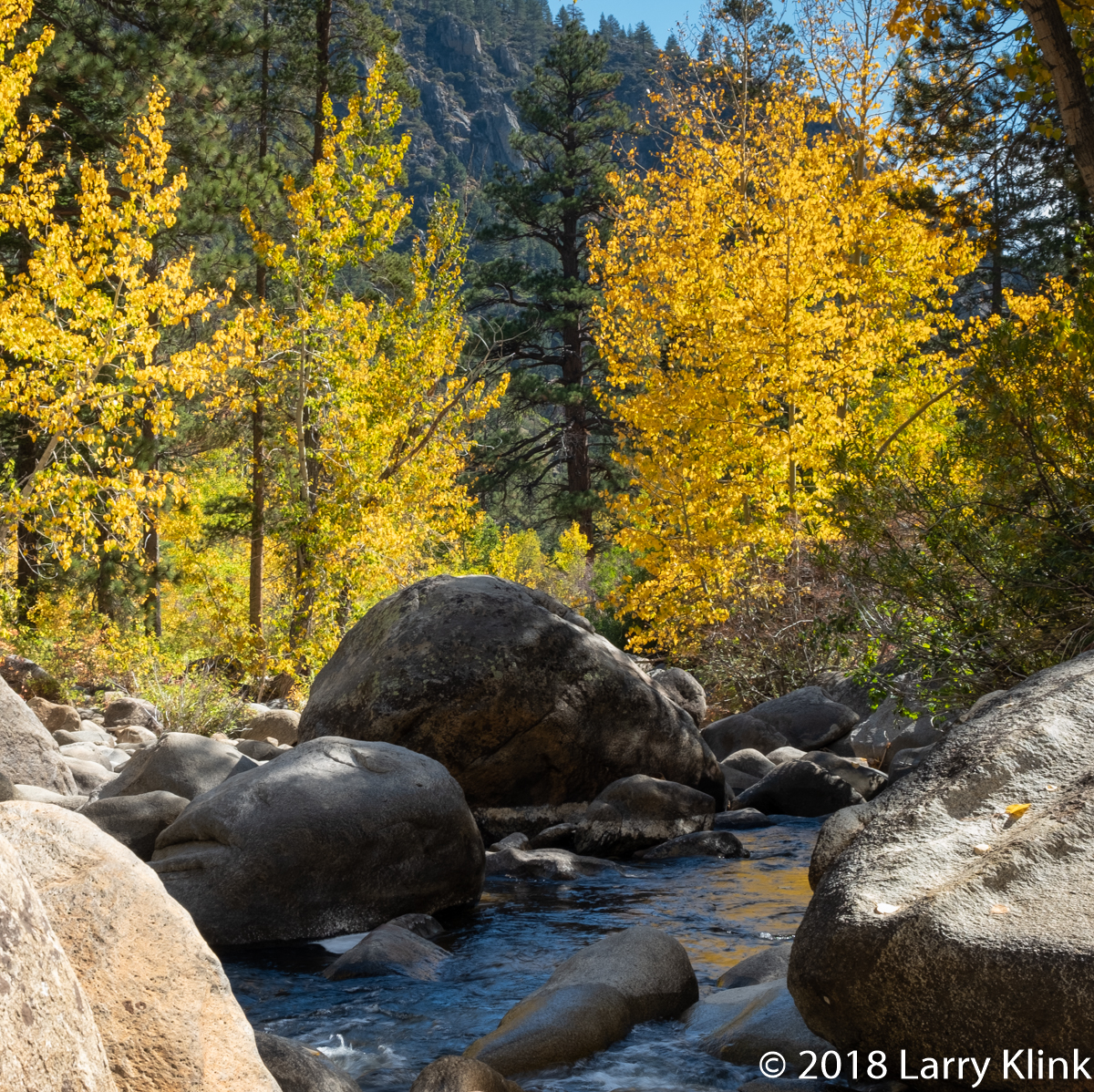 West Fork, Carson River