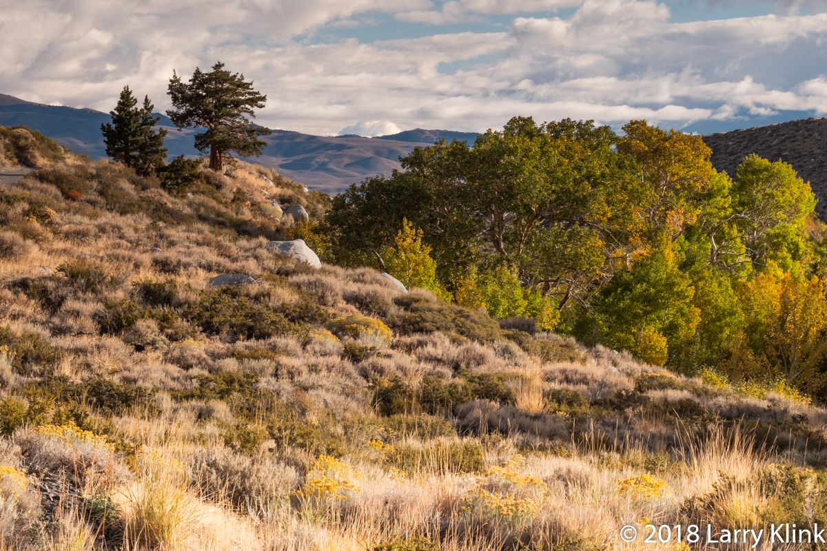 Scene from McGee Creek Rd