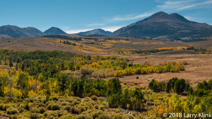 Aspens Below Dunderburg Mountain