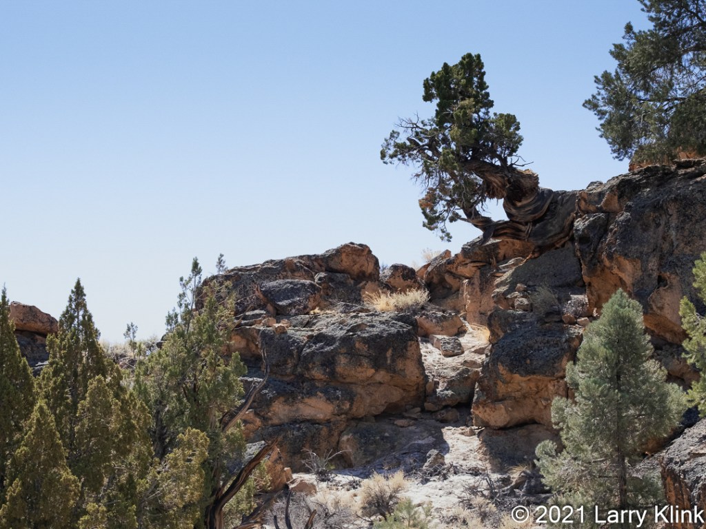 Images from the California/Nevada desert.