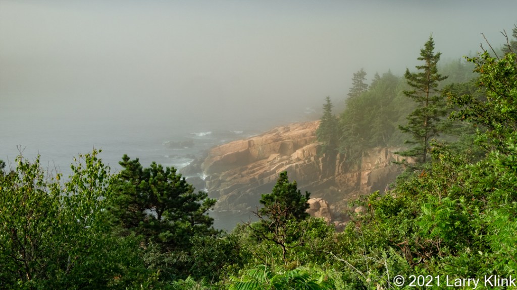 Photograph of a sunrise, with fog, at a tree lined, rocky cliff over the Atlantic Ocean at Acadia National Park, Maine, USA
