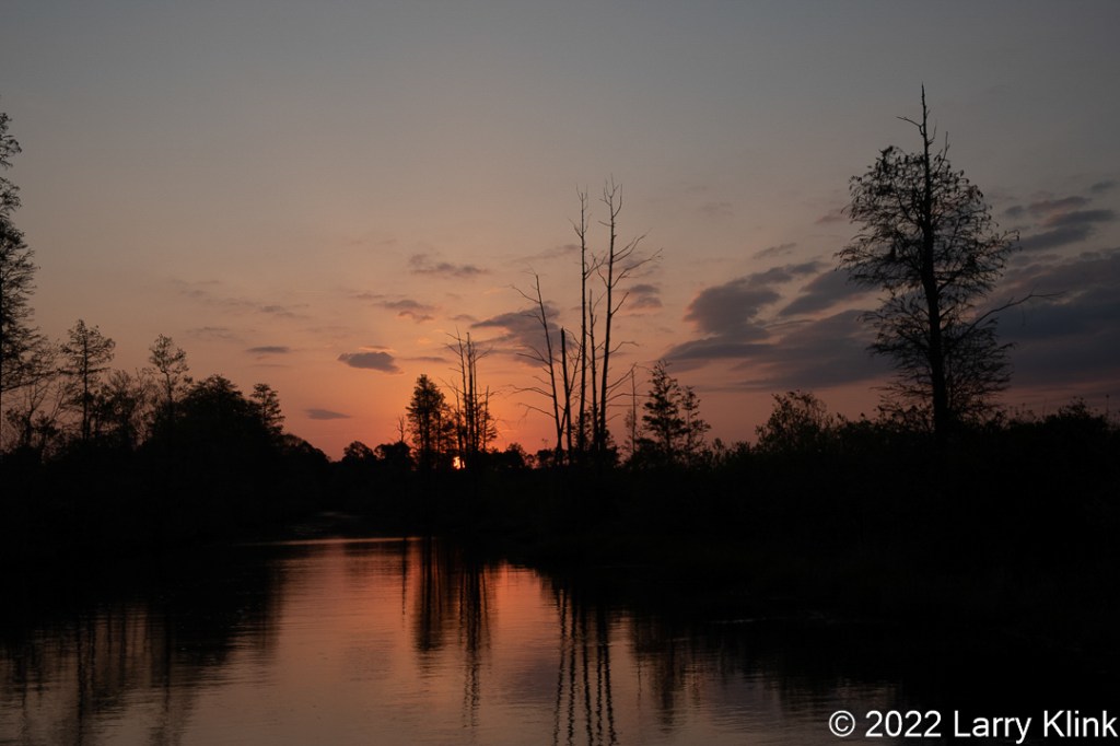 A view of a slough lined, in the Okefenokee National Wildlife Refuge, with trees at sunrise. The trees are silhouetted. The orange glow of sunrise is in the sky and reflected in the water.