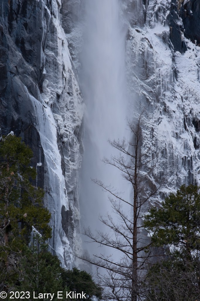 A photograph of a portion of Bridal Vail Falls in Yosemite National Park.  The white, misty, waterfall is the center of the picture. Bordering the lower portion of the waterfall is a dark colored tree with branches but without leaves. The exposed cliff face flanks both sides of the waterfall. Next to the waterfall, the cliff face, on both sides, is covered with ice. On the left side of the image is the grey-blue exposed rock of the exposed cliff face with green and brown of an evergreen tree at its base.  There is another evergreen tree in the bottom right corner of the picture. 