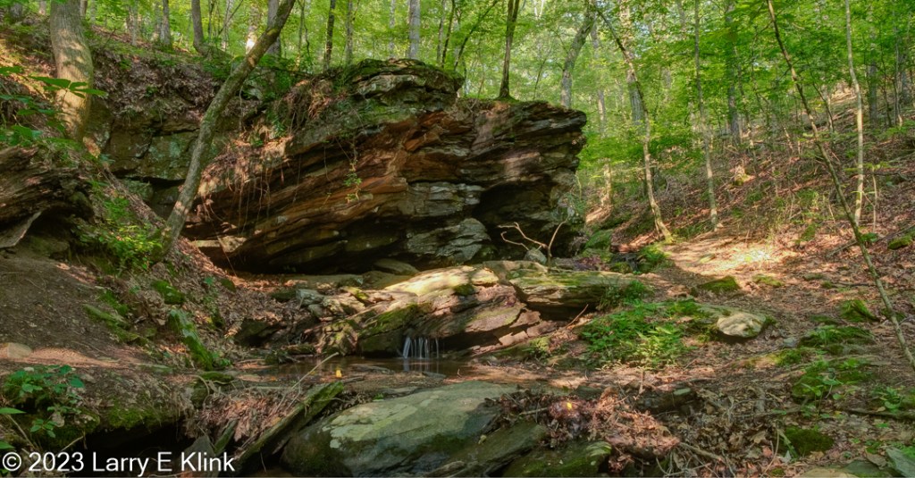 Photograph of a layered rock outcrop in a forest with a tiny waterfall and pool in middle of the lower portion of the picture. The rock outcrop is the dominant feature of this picture. It is in the center and rises vertically from the bottom almost to the top. It starts with a gray green rock near the center at the bottom of the image. Proceeding upwards there is a small pool fed by four small streams of water. Above that is a tan rock with a spot of white light on its top and green moss on both sides. Moving up further is the very large rock outcrop. It is layered. The bottom is dark, the middle layer is brown the top layer is gray but is covered with green foliage. On the right side and above the outcrop is the forest. Mostly you see the green leaves though some of the ground and a few small tree trunks can be seen in the foreground. On the left side is an embankment that is mostly brown but with some green foliage and a small gray tree trunk projecting upward at a 30-degree angle.