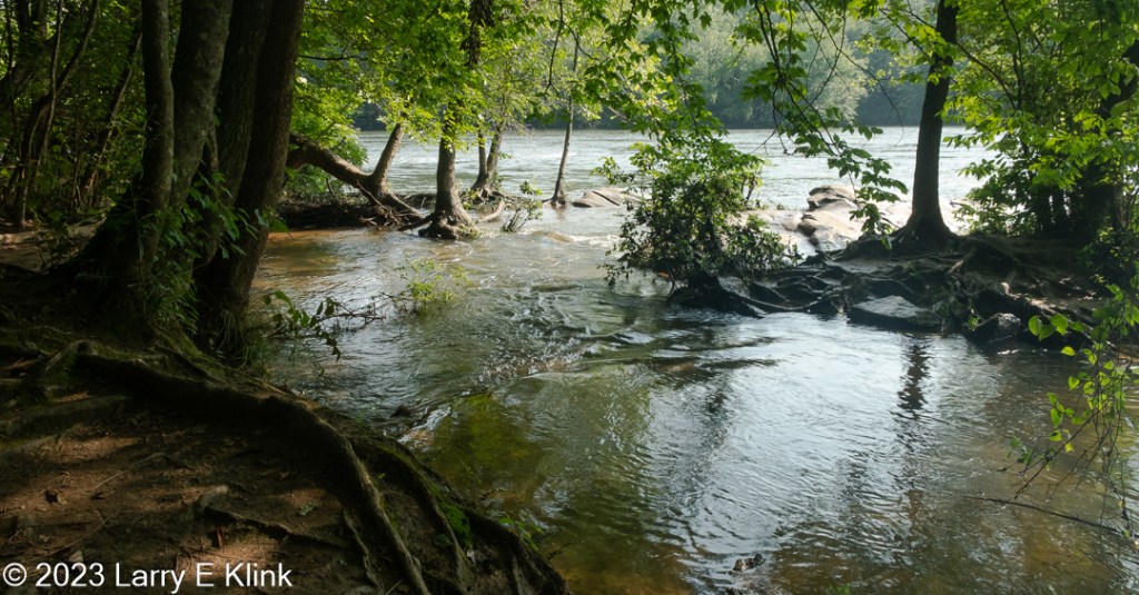 Photograph of the shoreline of the Chattahoochee River along with a small island created by flooding due to high water. A channel in the river begins in the lower right corner of the picture. It proceeds toward the upper left corner where it takes a sharp bend and empties into the main body of the river.  The water is mostly green with highlights from the sun. The island is in the upper right quadrant of the image. Its foreground is gray. It has some dark tree trunks, some with green leaves.  The shoreline begins in the lower left quadrant of the picture and proceeds up along the left side of the picture where it bends and projects out into the water. The ground is dark but is highlighted by the sun. Along the edge are dark colored tree roots leading to the dark trunks of 4 trees clustered together. There is some green foliage at the base of the tree trunks and the trunks are mottled with moss. The background is tree trunks and green leaves.