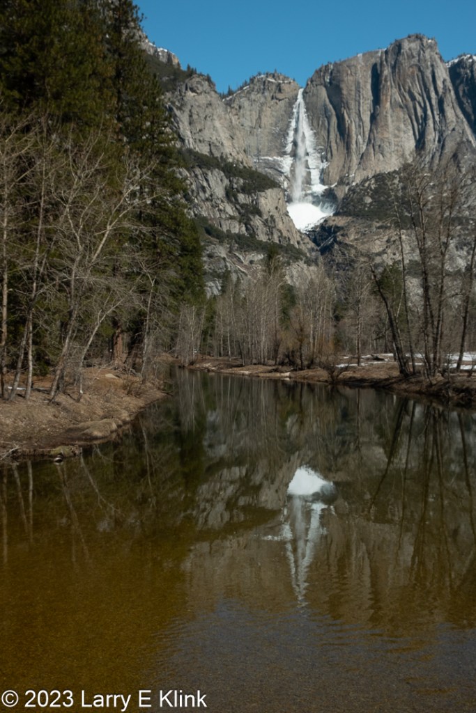 A photograph of Yosemite Falls and the Merced River at Yosemite National Park. In the foreground and leading into the middle ground is the Merced River.  At the bottom of the photo, the river is brown and rippled. As the river leads into the picture it becomes a mix of gray and green. The cliff face is gray mottled with brown soil and rows of brown and green foliage. The waterfall is white and is flanked on both sides by ice. The river is flanked by light brown soil and trees. The sky is bright, sky blue. The colors of the river result from the reflection of the waterfall, cliff face and trees reflecting in the water. The waterfall makes a prominent, white, reflection in the river. 