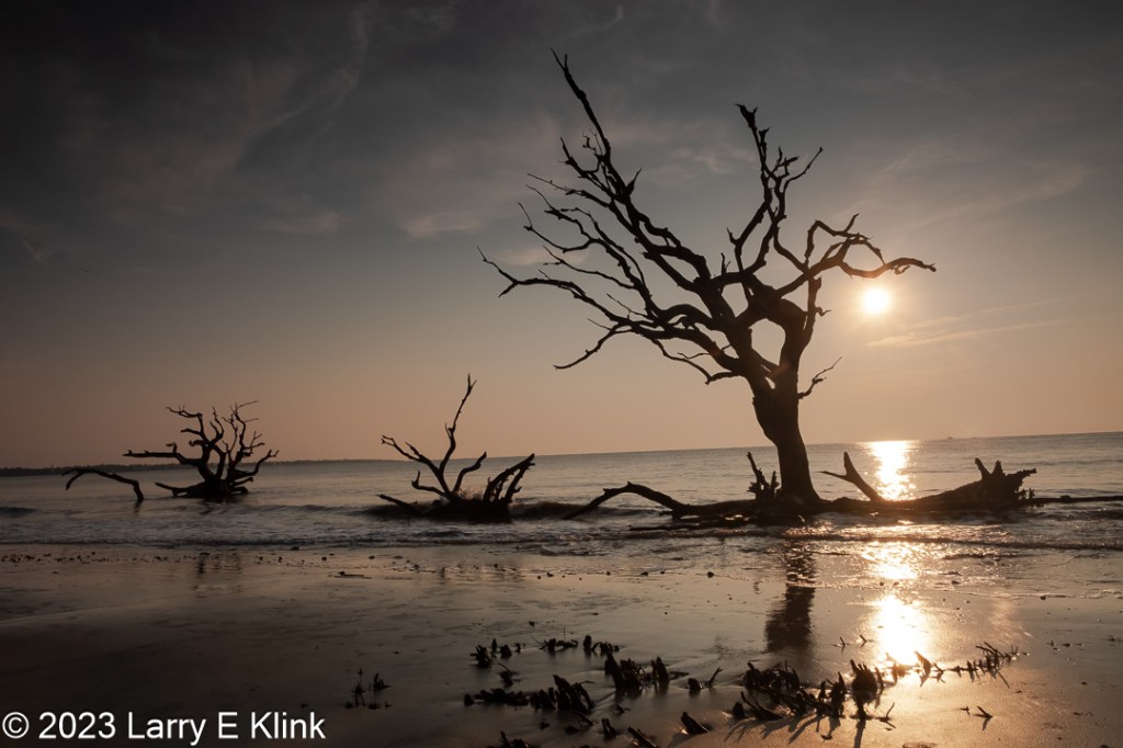Picture of three standing, dead trees on Driftwood Beach at sunrise. The tide is rising so the trees are standing in water at the edge of the beach. The trees are silhouetted. The sky is blue gray at the top and becomes orange as it approaches the horizon. The upper part of the sky contains whisps of white clouds. The ocean is gray with a strong yellow stripe of reflected sun to the right of the largest tree. The beach has hues of light orange along the water’s edge from reflected sky. The left 2/3 of the beach is gray. The right is more golden from reflected sunlight. The sun is the watery yellow circle to the right of the largest tree just below its lowest branch on that side.